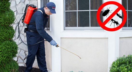 İzkent Bit İlaçlama böcek ilaçlama ve haşere kontrolü — ilaclama-tr.com